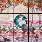Trace my vision exhibition